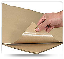 Poly Coated Paper