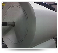 Poly Coated Paper